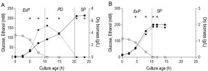 Figure 4 Anaerobiosis reduces yeast robustness