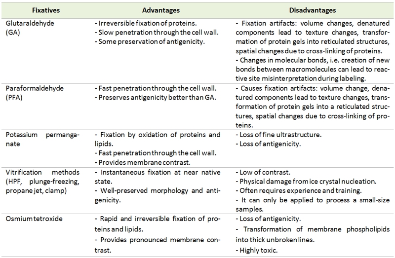 disadvantages of electron microscope