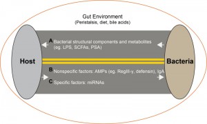 Figure 1 microRNAs shape microbiota