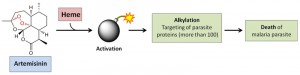 Figure 1 Targets and activation mechanism of anti-malaria drug artemisinin