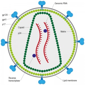 Figure 2 HIV AIDS pandemic