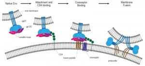 Figure 6 HIV AIDS pandemic