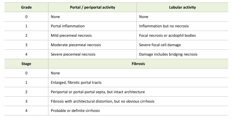 hepatitis virus table