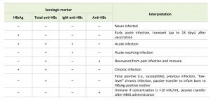 Table 3 Hepatitis B virus and its sexually transmitted infection