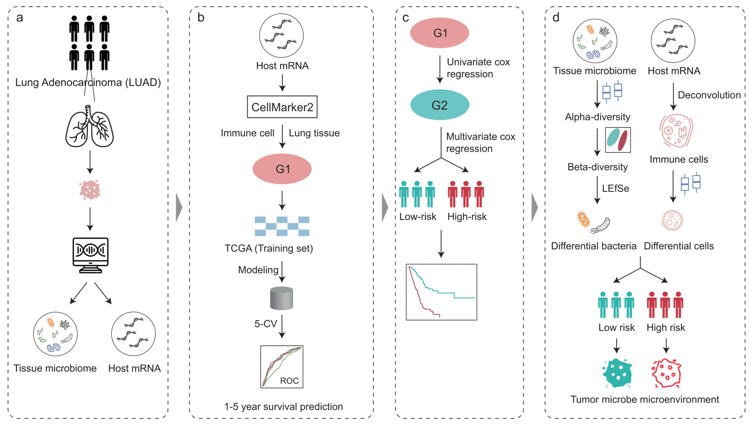 Predictable regulation of survival by intratumoral microbe-immune crosstalk in patients with lung adenocarcinoma