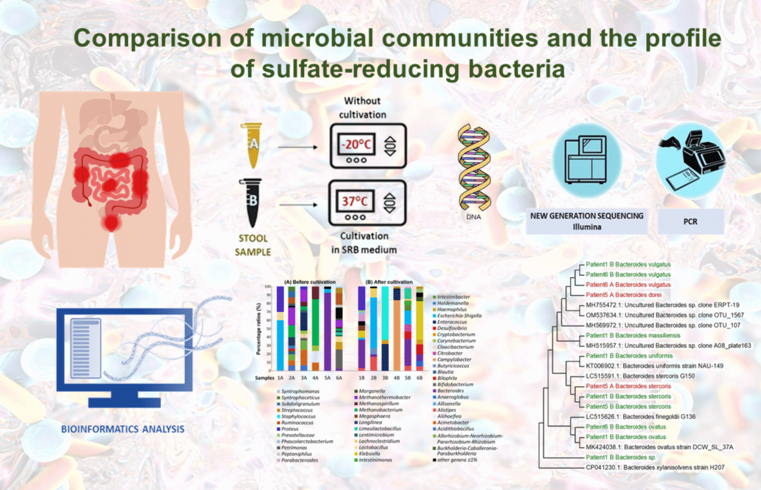 Comparison of microbial communities and the profile of sulfate-reducing bacteria in patients with ulcerative colitis and their association with bowel diseases: a pilot study