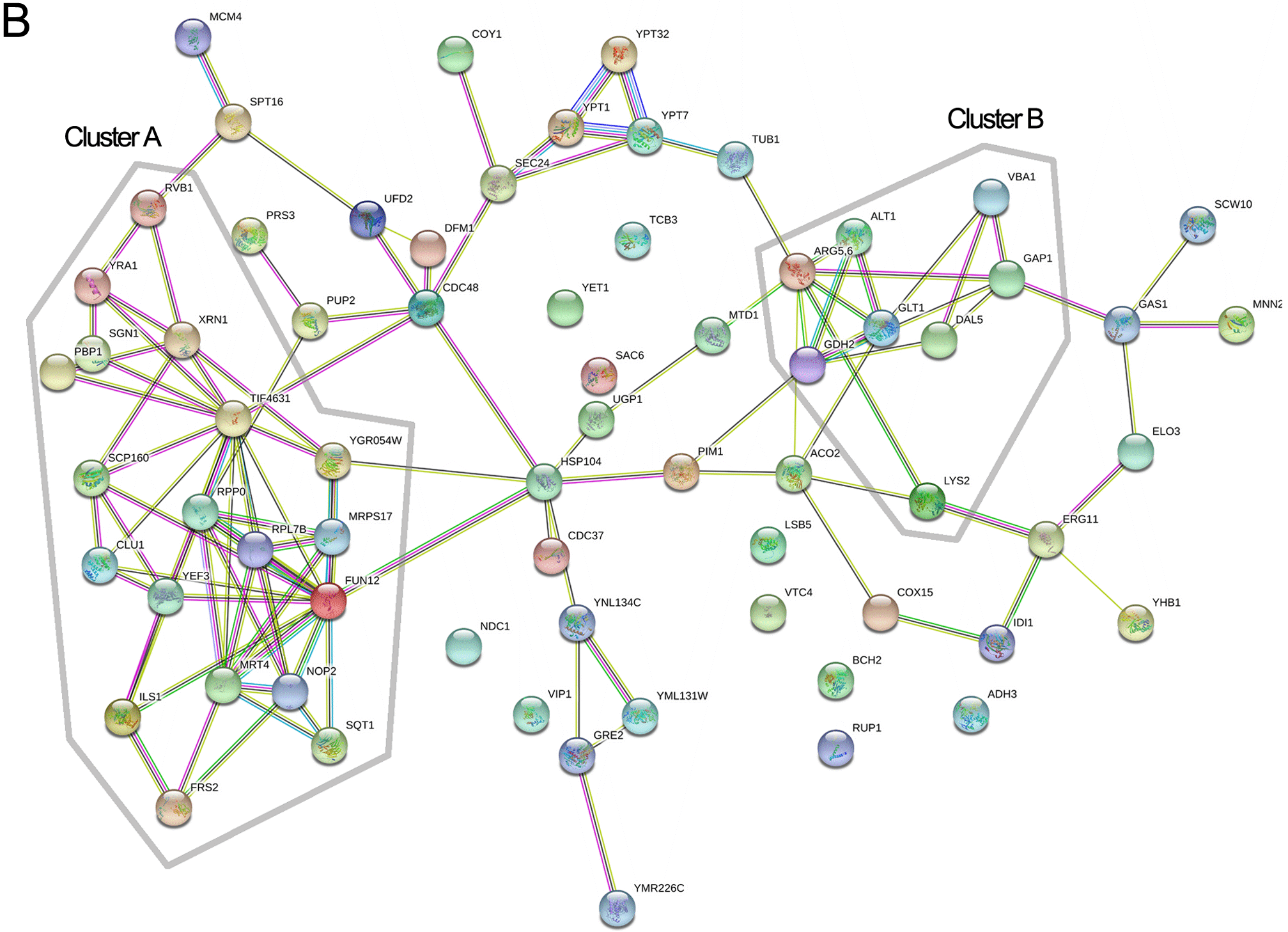 Uga3 influences nitrogen metabolism in <i>Saccharomyces cerevisiae</i> by modulating arginine biosynthesis