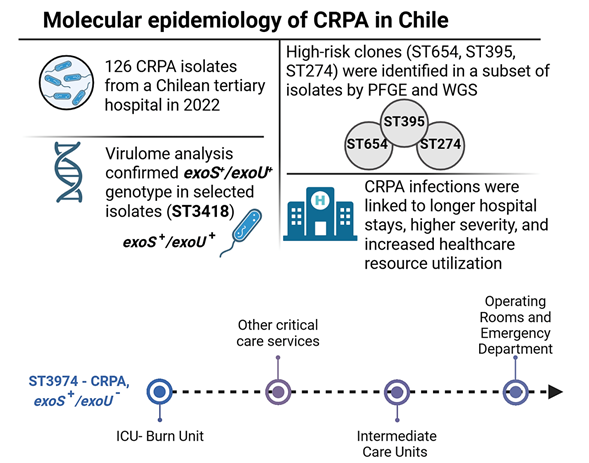 Clonal spread and environmental persistence of carbapenem-resistant high-risk <i>Pseudomonas aeruginosa</i> in critical-care units of a Chilean national referral center for burn and trauma patients (2022)